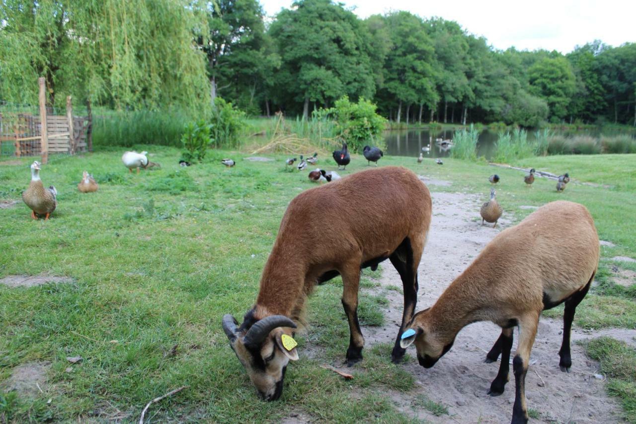 Ferme Des Poulardieres Crouy-sur-Cosson Eksteriør bilde